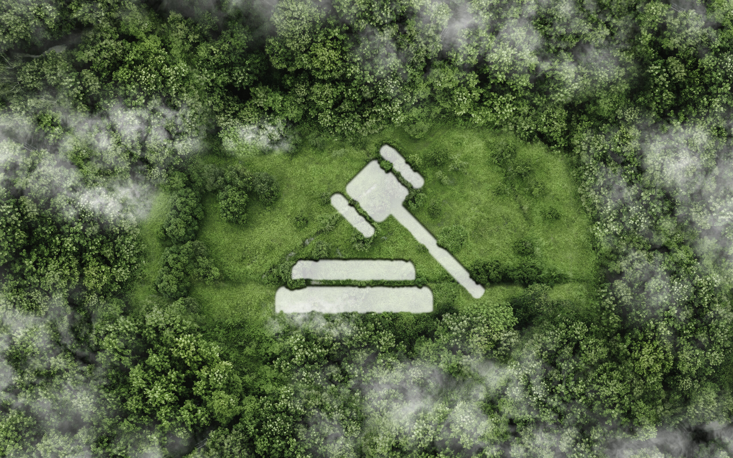 Codifying Climate Action in the Heart of a Petrostate