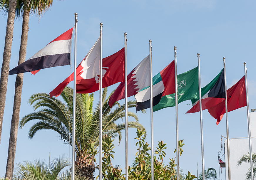 Integration is the Arabs’ Best Shield Against Confiscation