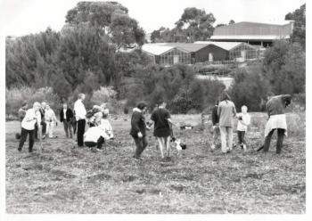 1996 planting photo