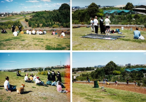 5th,6th,7th plantings